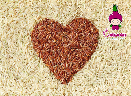 chiết xuất mầm gạo lứt